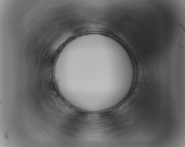 X0000103471211200809261856