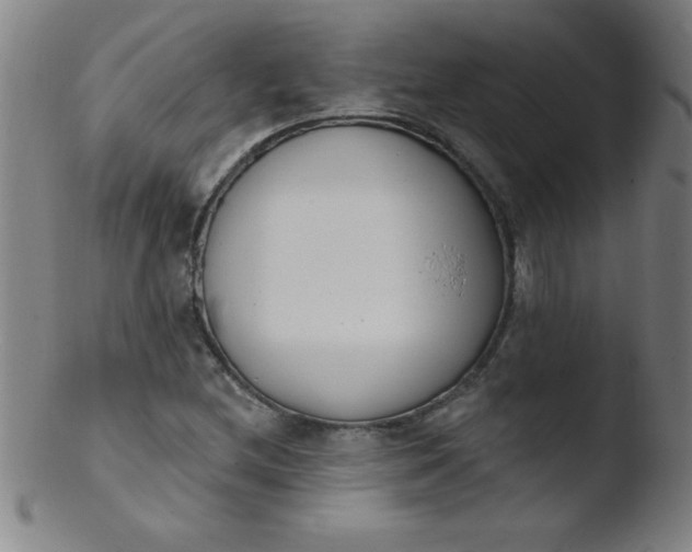 X0000103471212200809261856