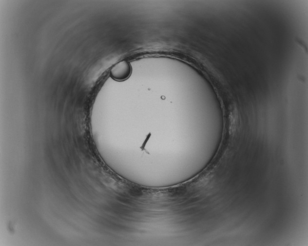 X0000103471213200809261856