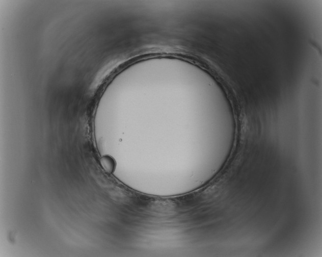 X0000103471215200809261856