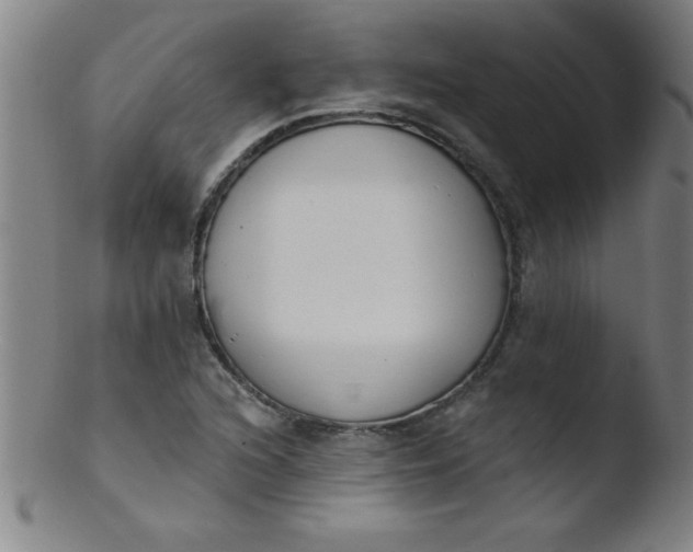 X0000103471216200809261856