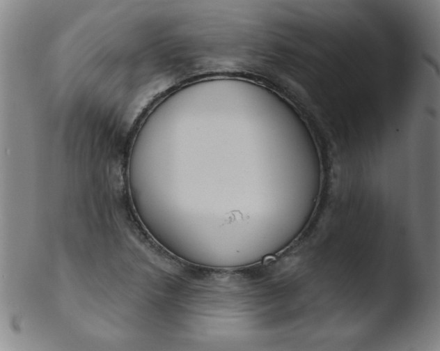 X0000103471218200809261856