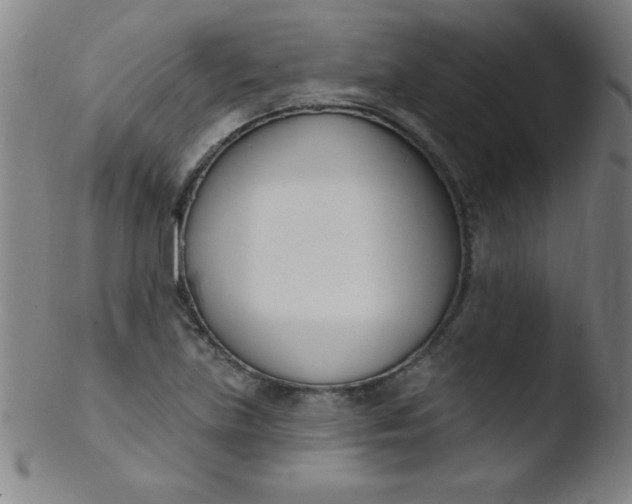 X0000103471219200809261856