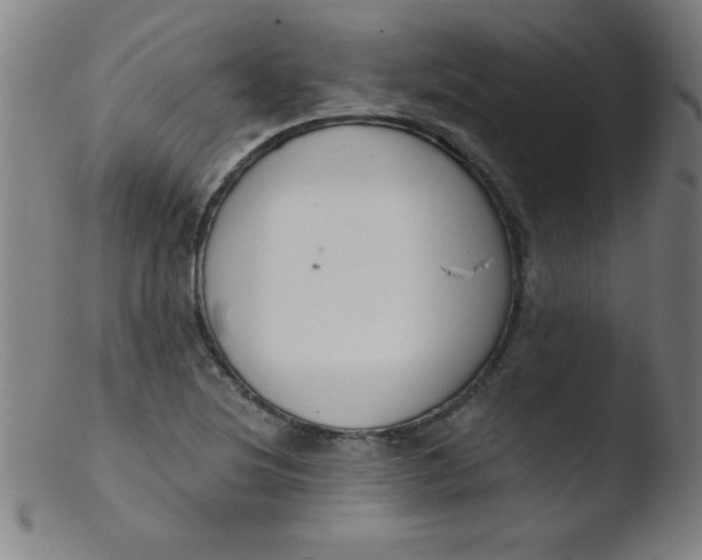 X0000103471220200809261856