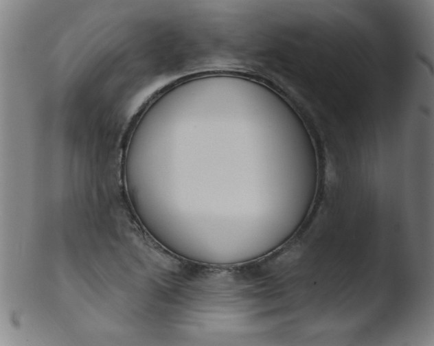 X0000103471222200809261856