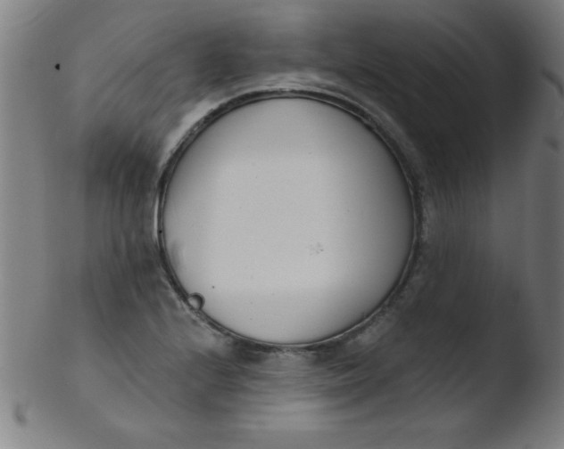 X0000103471224200809261856