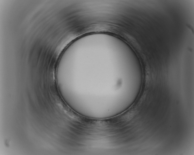 X0000103471226200809261856