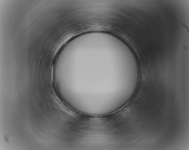 X0000103471227200809261857