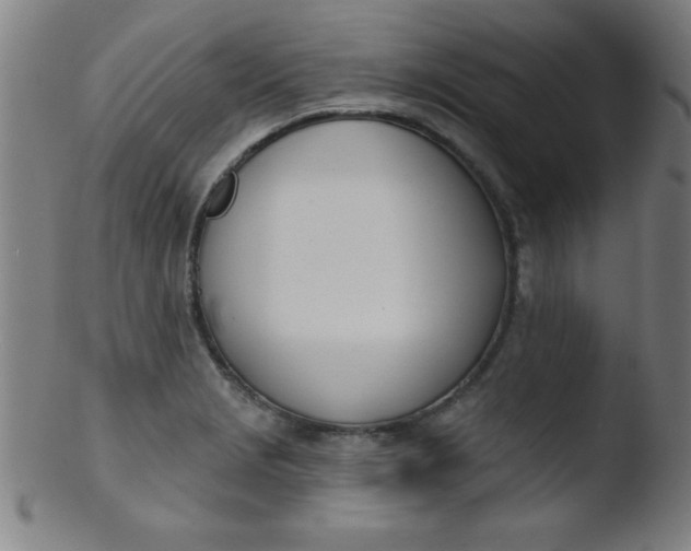 X0000103471229200809261857