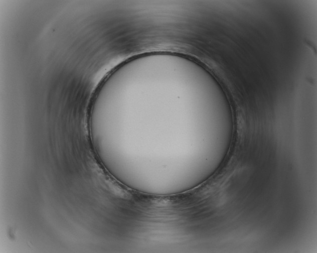 X0000103471230200809261857