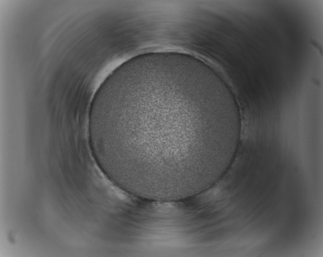 X0000103471231200809261857