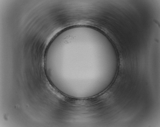 X0000103471232200809261857