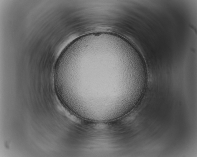 X0000103471235200809261857