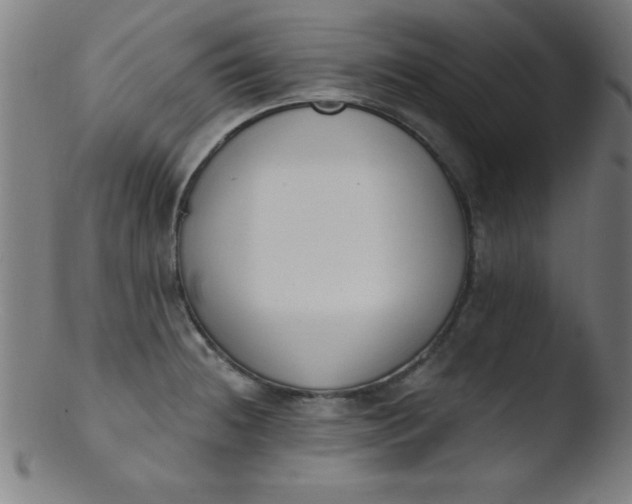 X0000103471236200809261857