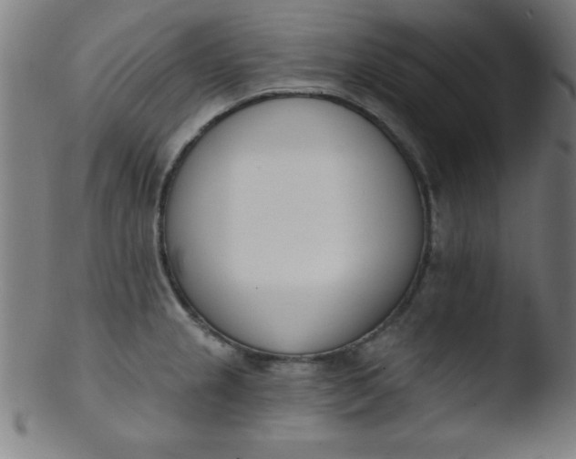 X0000103471237200809261857