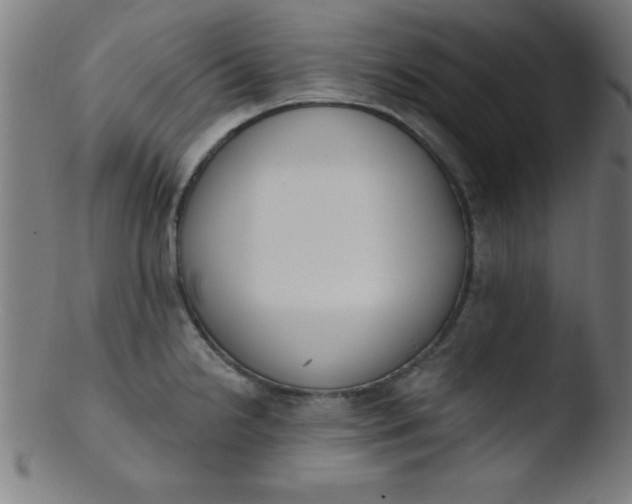 X0000103471238200809261857