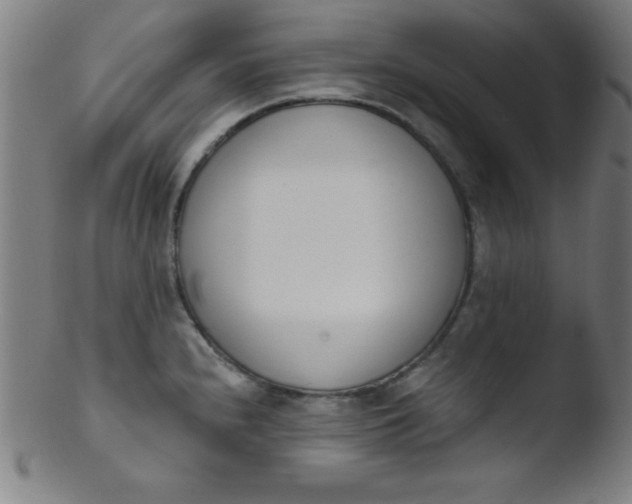 X0000103471240200809261857