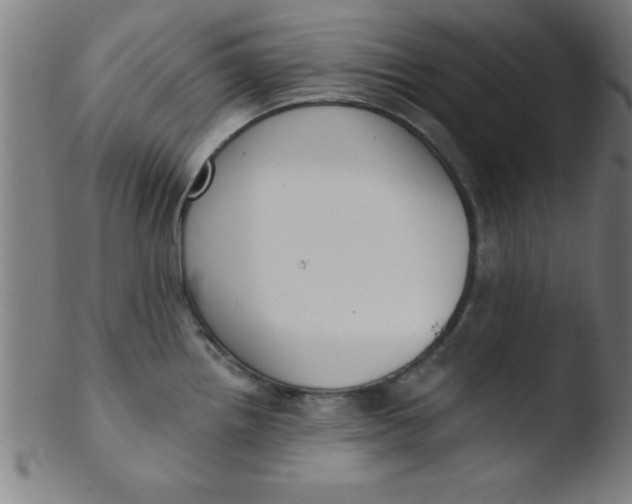 X0000103471242200809261857