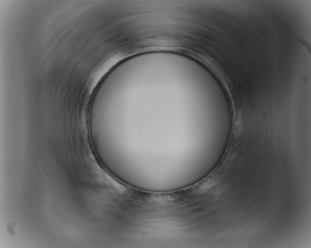 X0000103471243200809261857