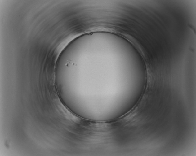 X0000103471244200809261857