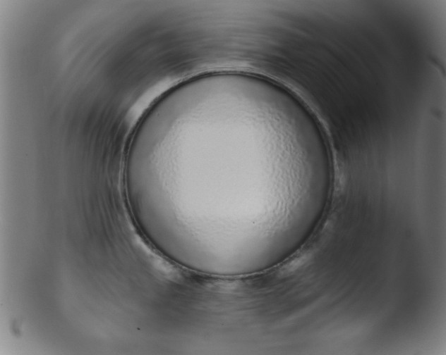 X0000103471245200809261857