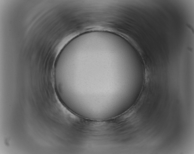 X0000103471247200809261857