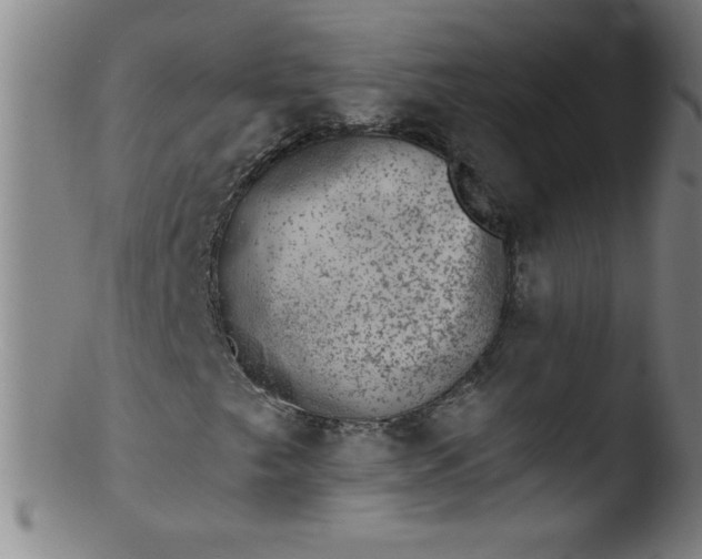 X0000103471249200809261856