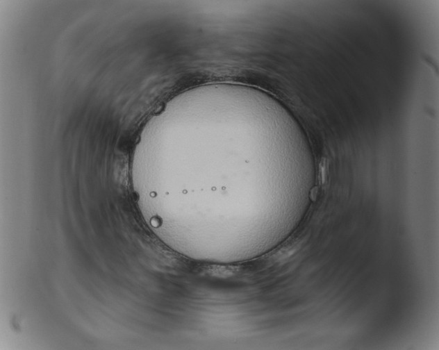 X0000103471251200809261856