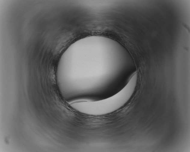 X0000103471252200809261856