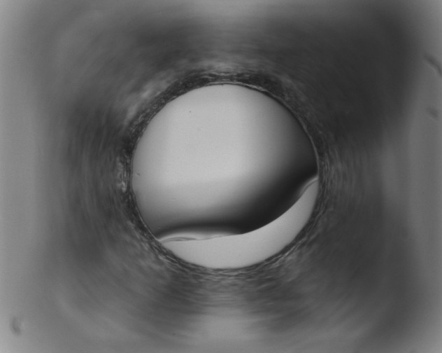 X0000103471253200809261856