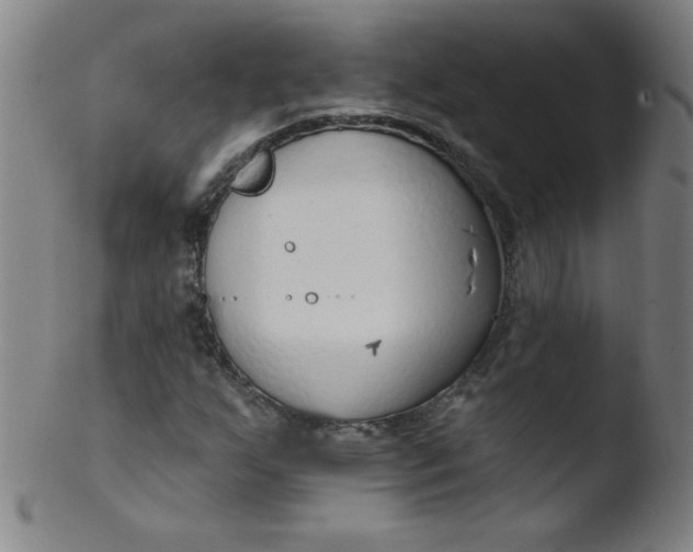 X0000103471255200809261856