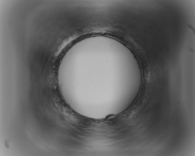 X0000103471256200809261856