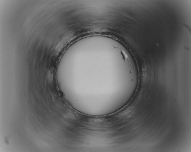 X0000103471257200809261856