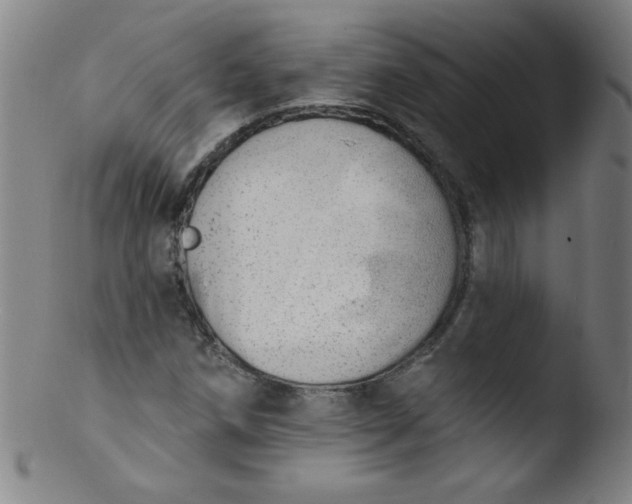 X0000103471258200809261856