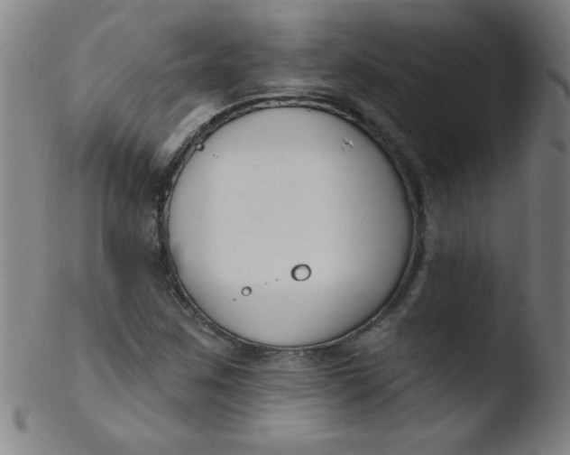 X0000103471259200809261856