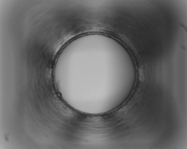 X0000103471260200809261856