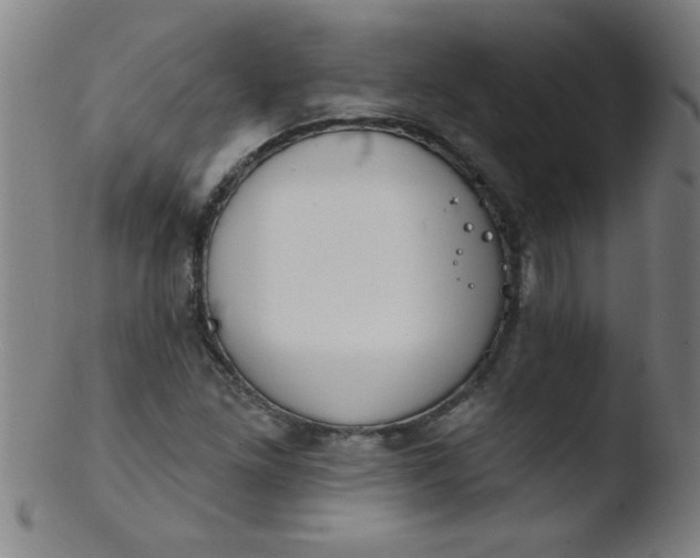 X0000103471261200809261856