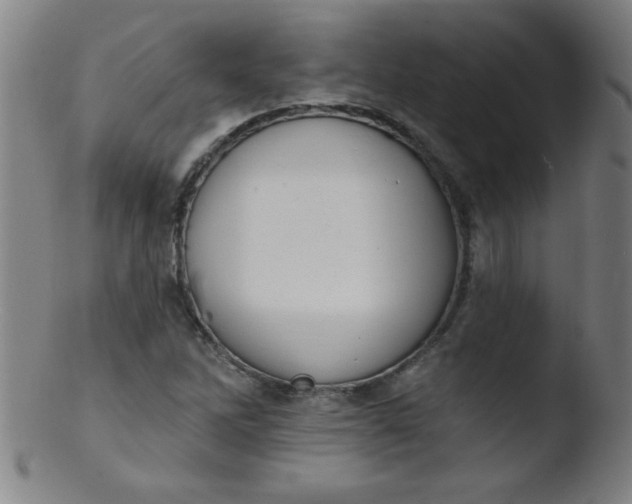 X0000103471262200809261856