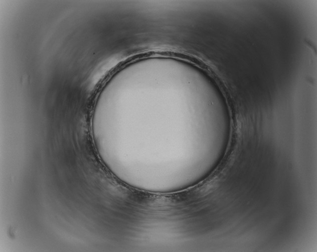 X0000103471263200809261856