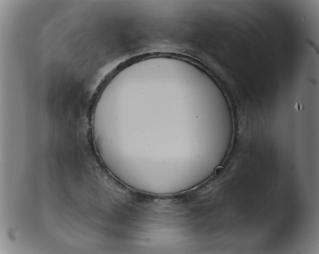 X0000103471264200809261856