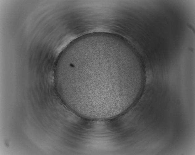 X0000103471266200809261856