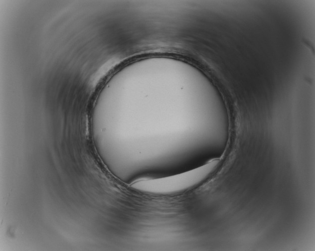 X0000103471267200809261856