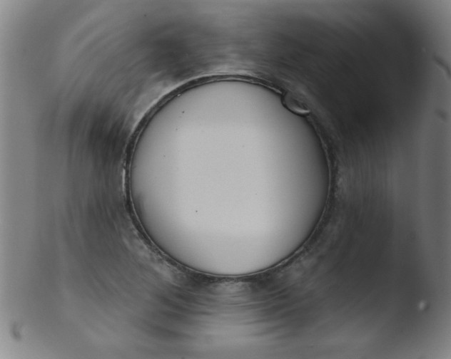 X0000103471268200809261856