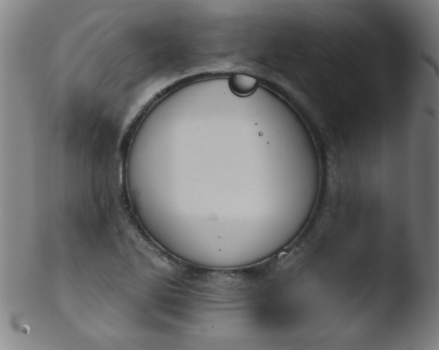 X0000103471270200809261856