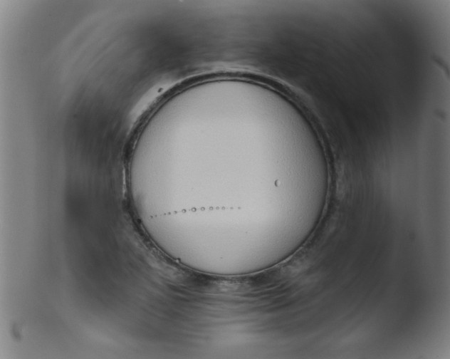 X0000103471271200809261856