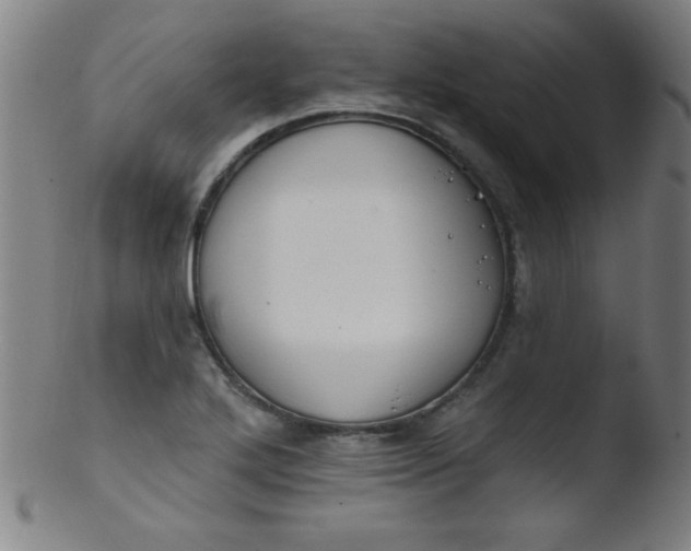 X0000103471272200809261856