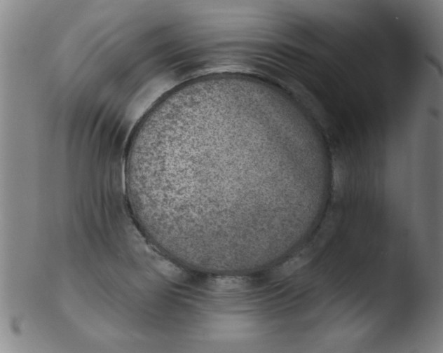 X0000103471274200809261856