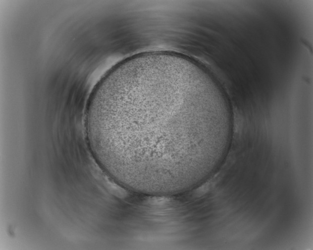 X0000103471278200809261856