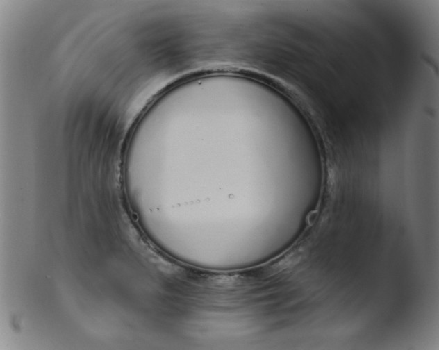 X0000103471279200809261856