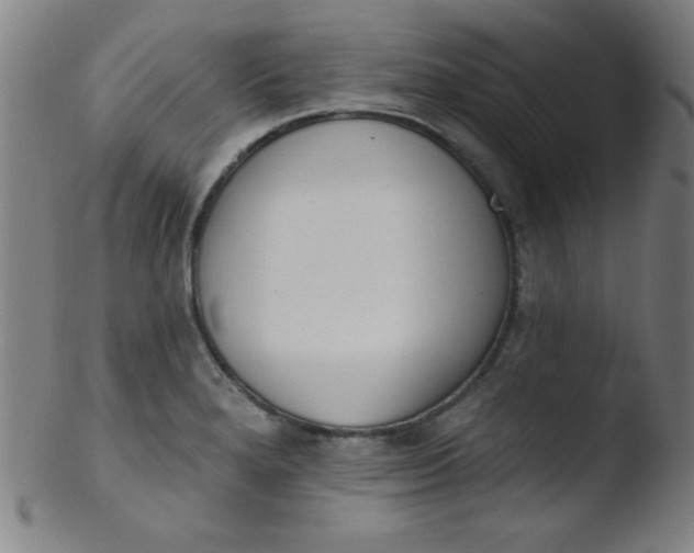 X0000103471280200809261856